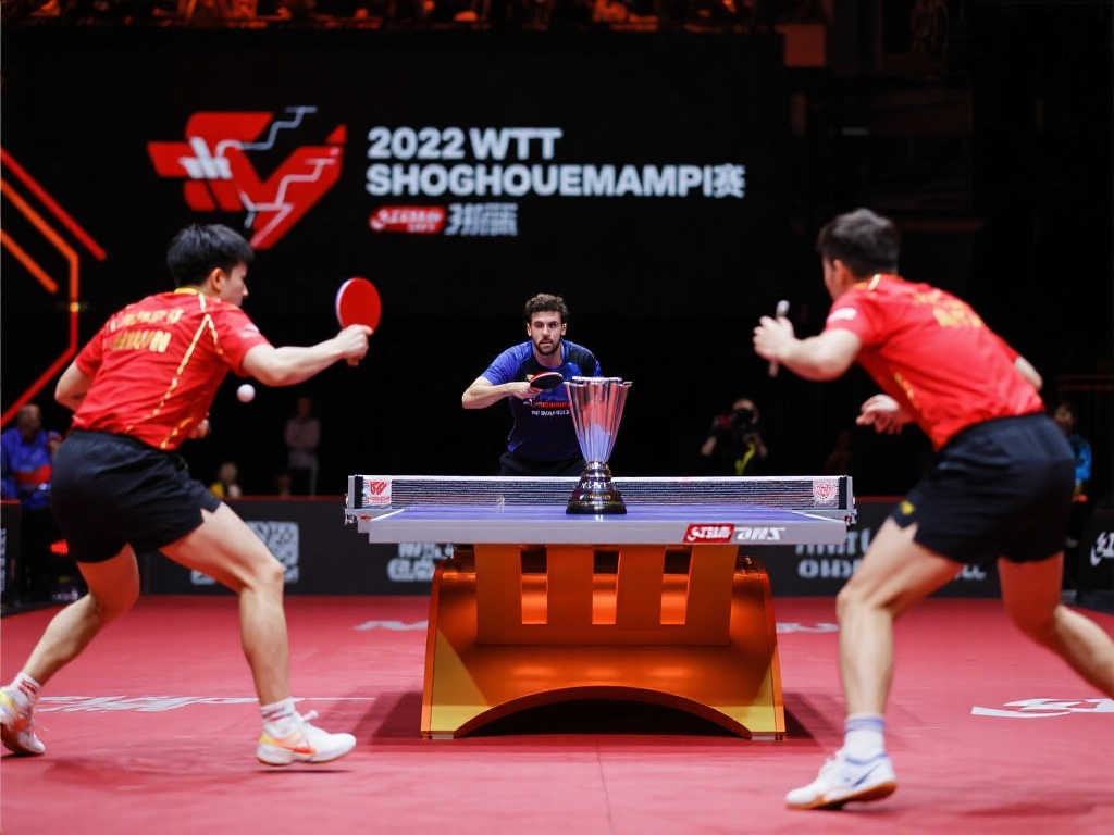 区域的协作 区域的协作